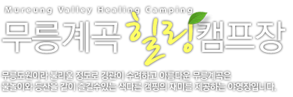 Mureung Valley Healing Camping ķ ̶ Ҹ   ϰ Ƹٿ  ̿   ִ ٸ ķ ̸ ϴ ߿Դϴ.